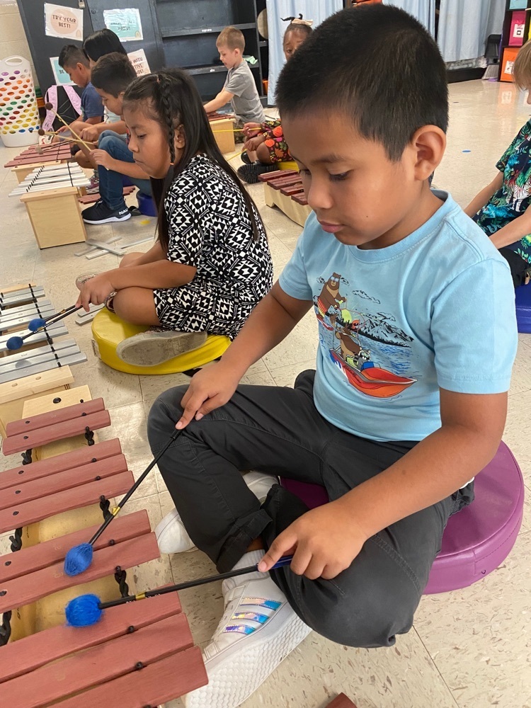 Live Feed Rocky Point Elementary School