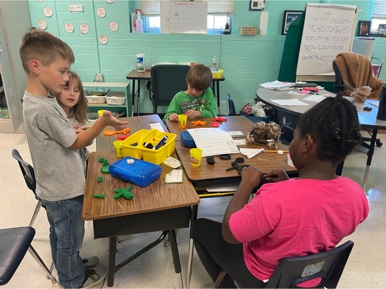 Live Feed Rocky Point Elementary School