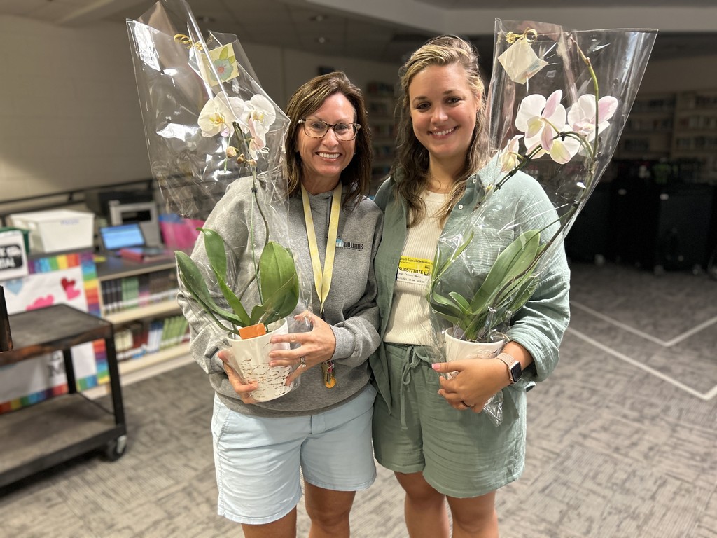 Live Feed South Topsail Elementary School